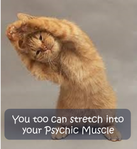 Cat Stretching